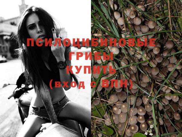 героин Бородино