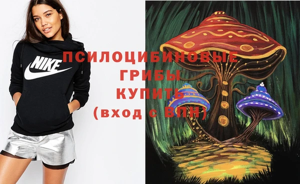 ALPHA-PVP Бугульма